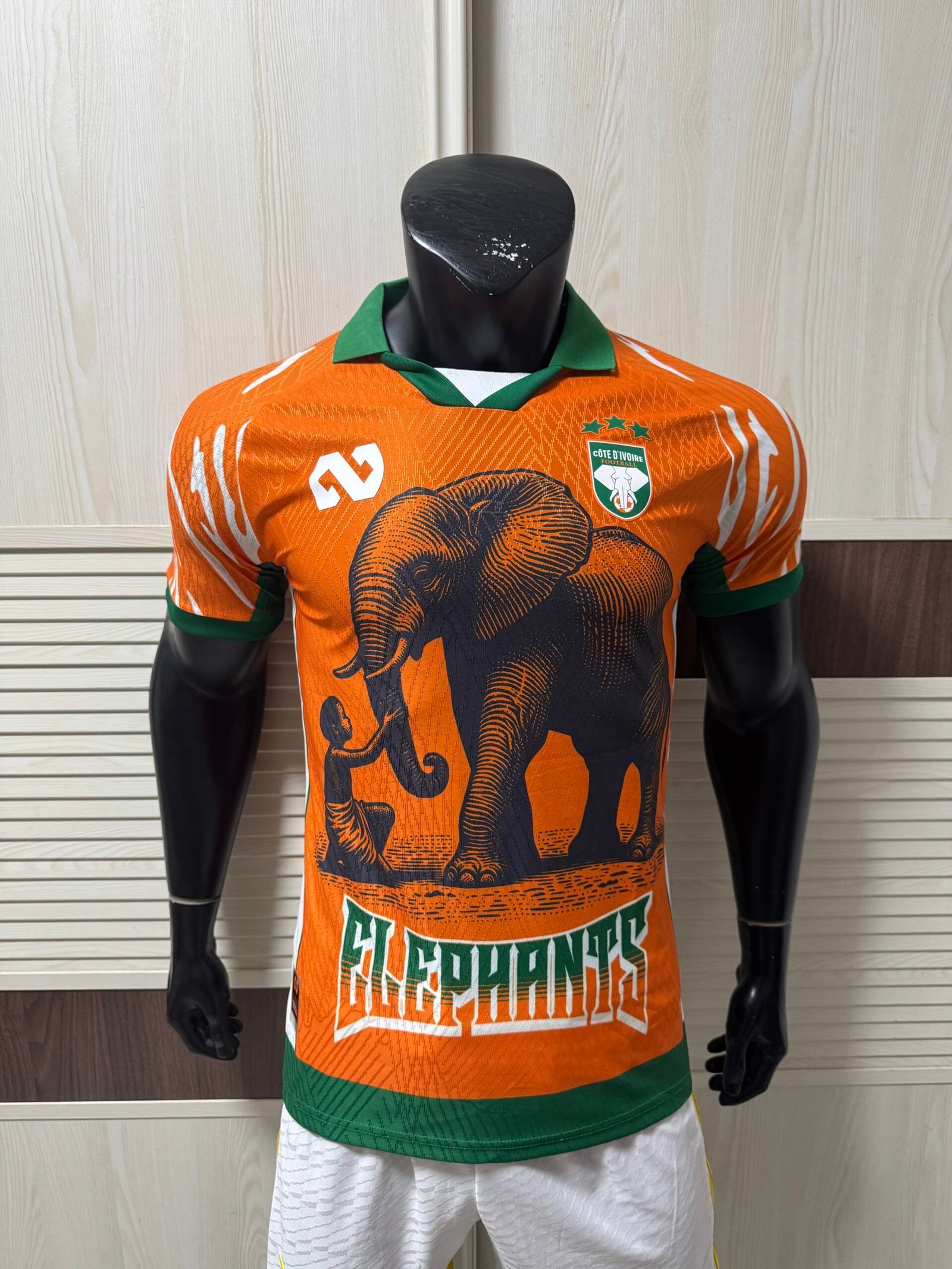 Ivory Coast football team - The New Elephants Take Shape